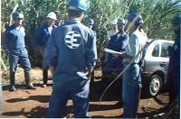 ESTEIO staff in a Pipeline survey
